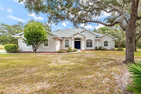 38218 SABAL WAY UMATILLA FL 32784