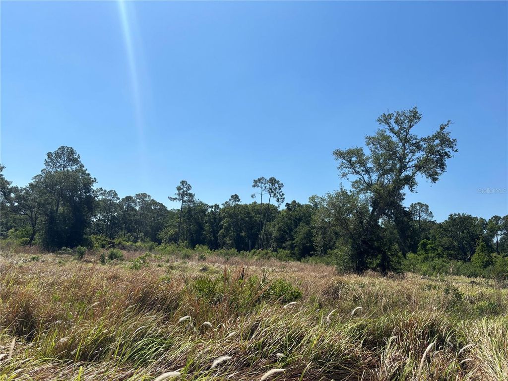 Photo of Ardenwood, Tampa, FL 33625 (MLS # S5149127)