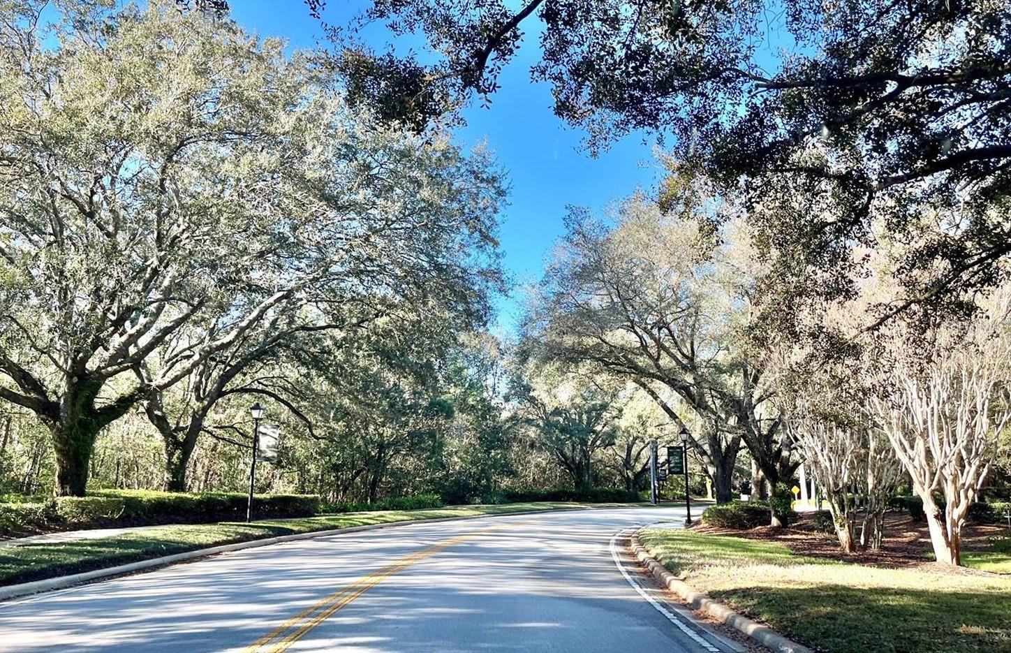 REMINGTON PARK - Residential