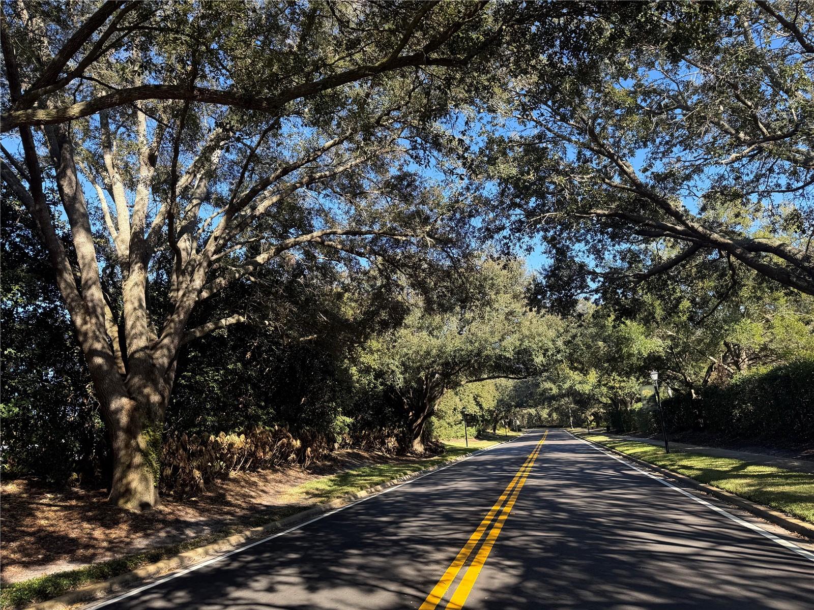 REMINGTON PARK - Residential