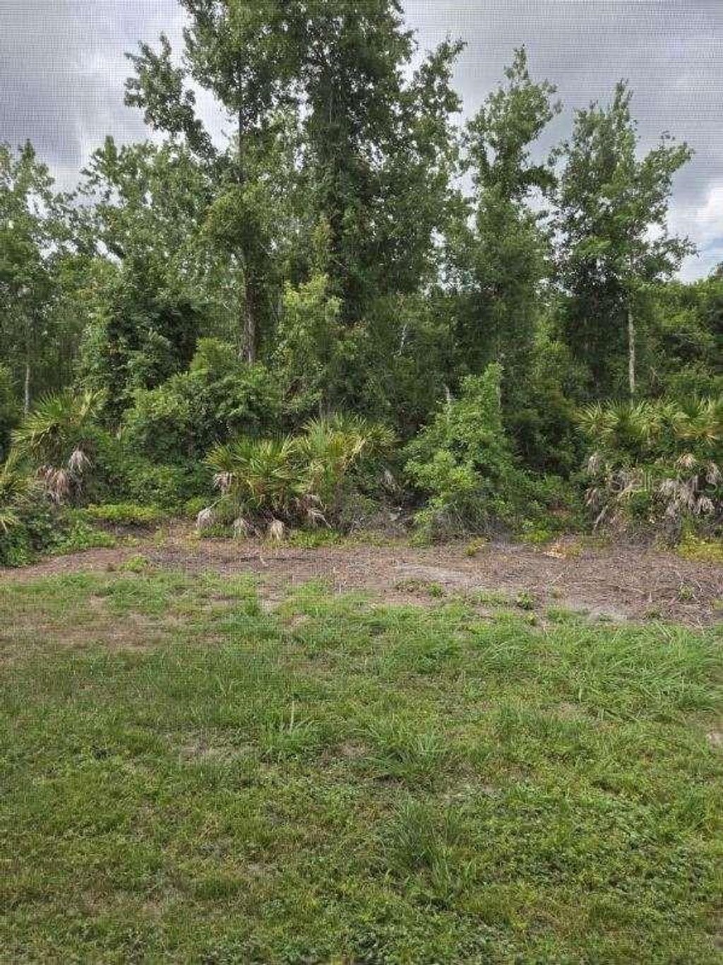 Photo of 9321 Huntington Parkway, Tampa, FL 33647 (MLS # TB8512022)