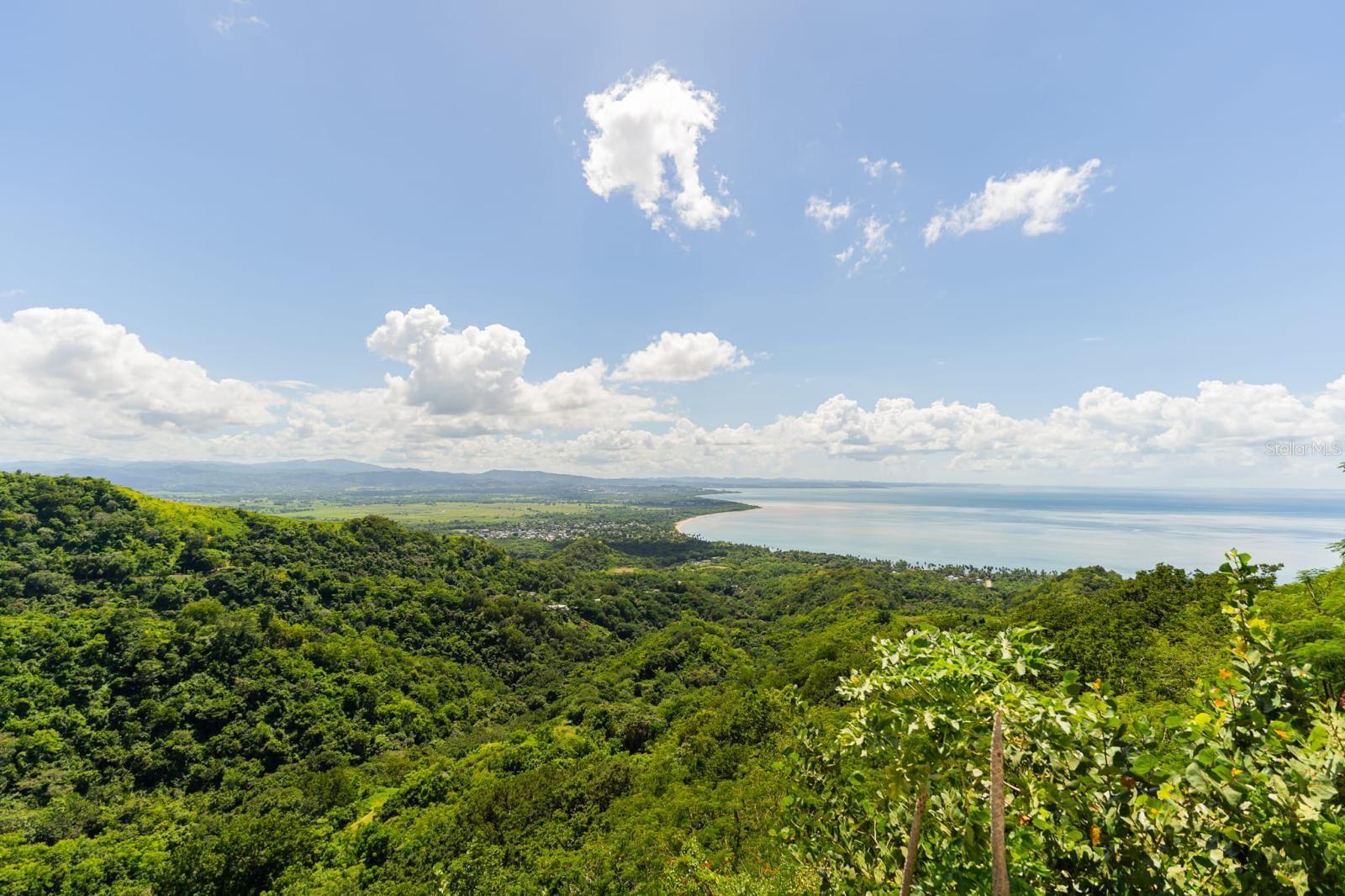 PALATINE HILL - Residential