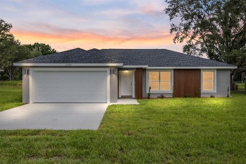 Photo of 13329 SW 106 Street, Dunnellon, FL 34432 (MLS # OM697225)