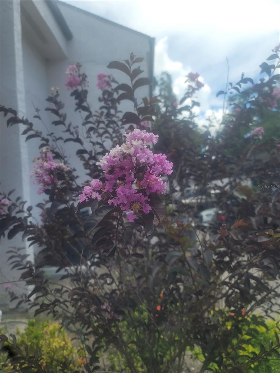 5125 PURITAN CIRCLE 1103