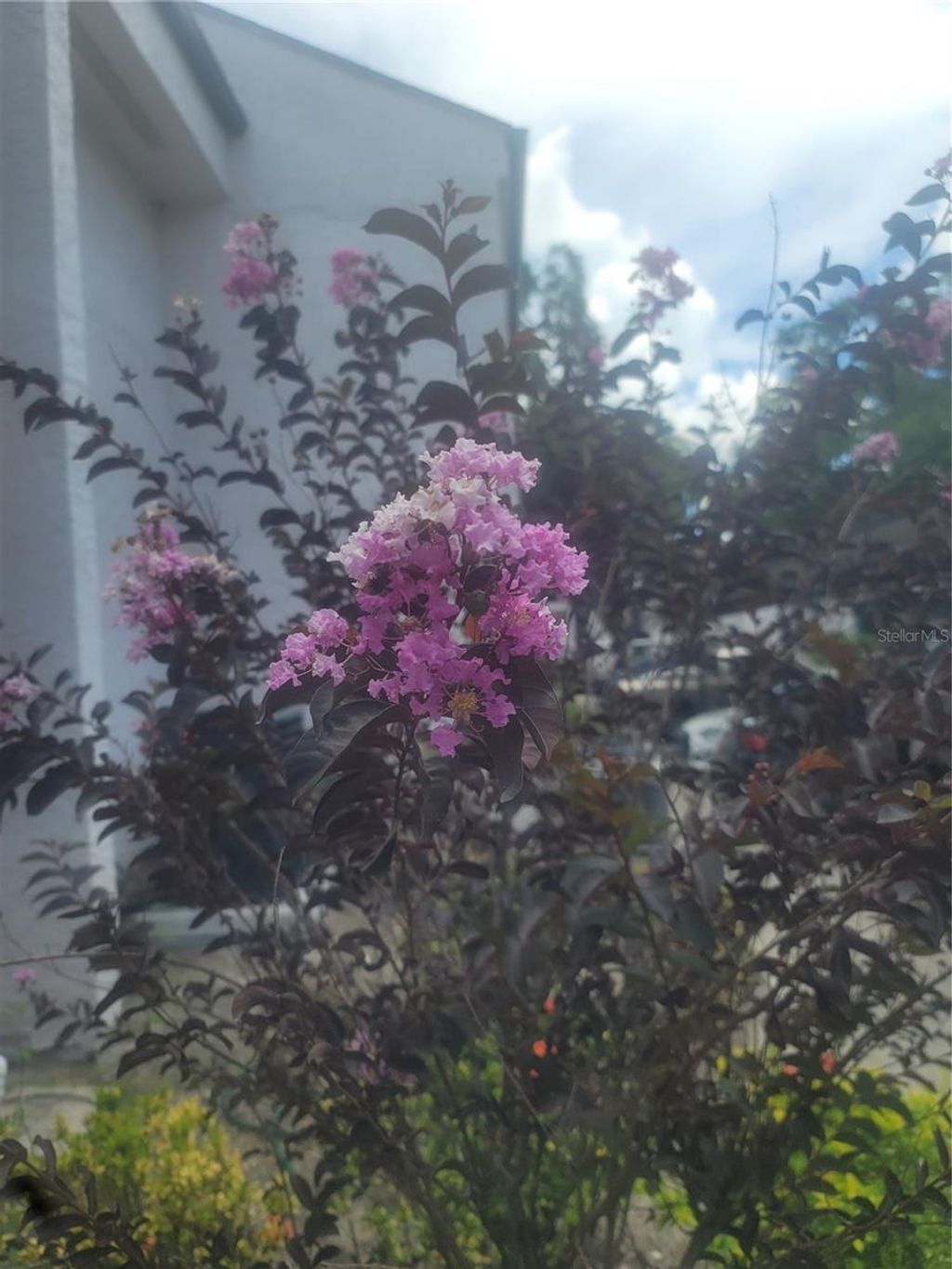 Photo of 5125 Puritan Circle #1103, Tampa, FL 33617 (MLS # TB8403250)