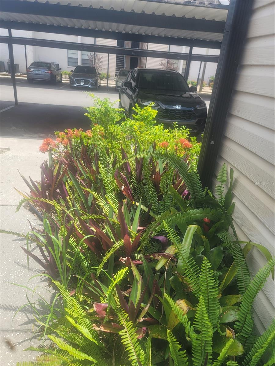 5125 PURITAN CIRCLE 1103