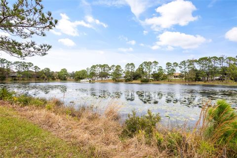 A home in DELTONA