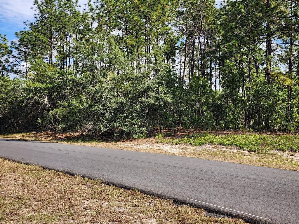 Photo of 6086 SW 154th Lane Road, Ocala, FL 34473 (MLS # OM723874)