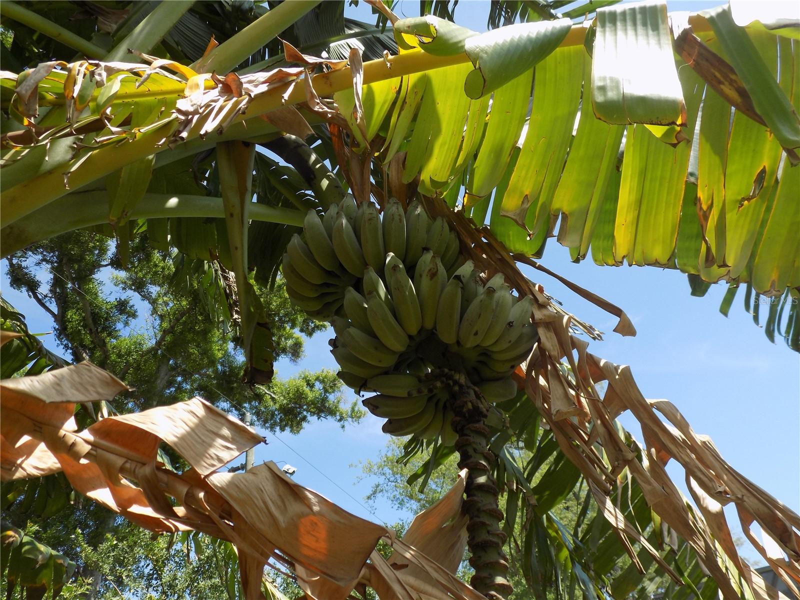 SHERWOOD HEIGHTS ADD - Residential