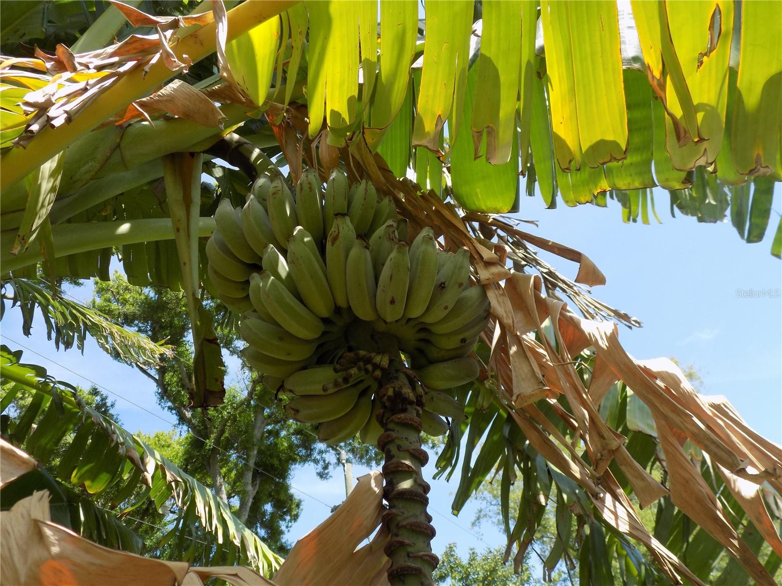 SHERWOOD HEIGHTS ADD - Residential