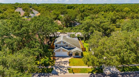 A home in VALRICO