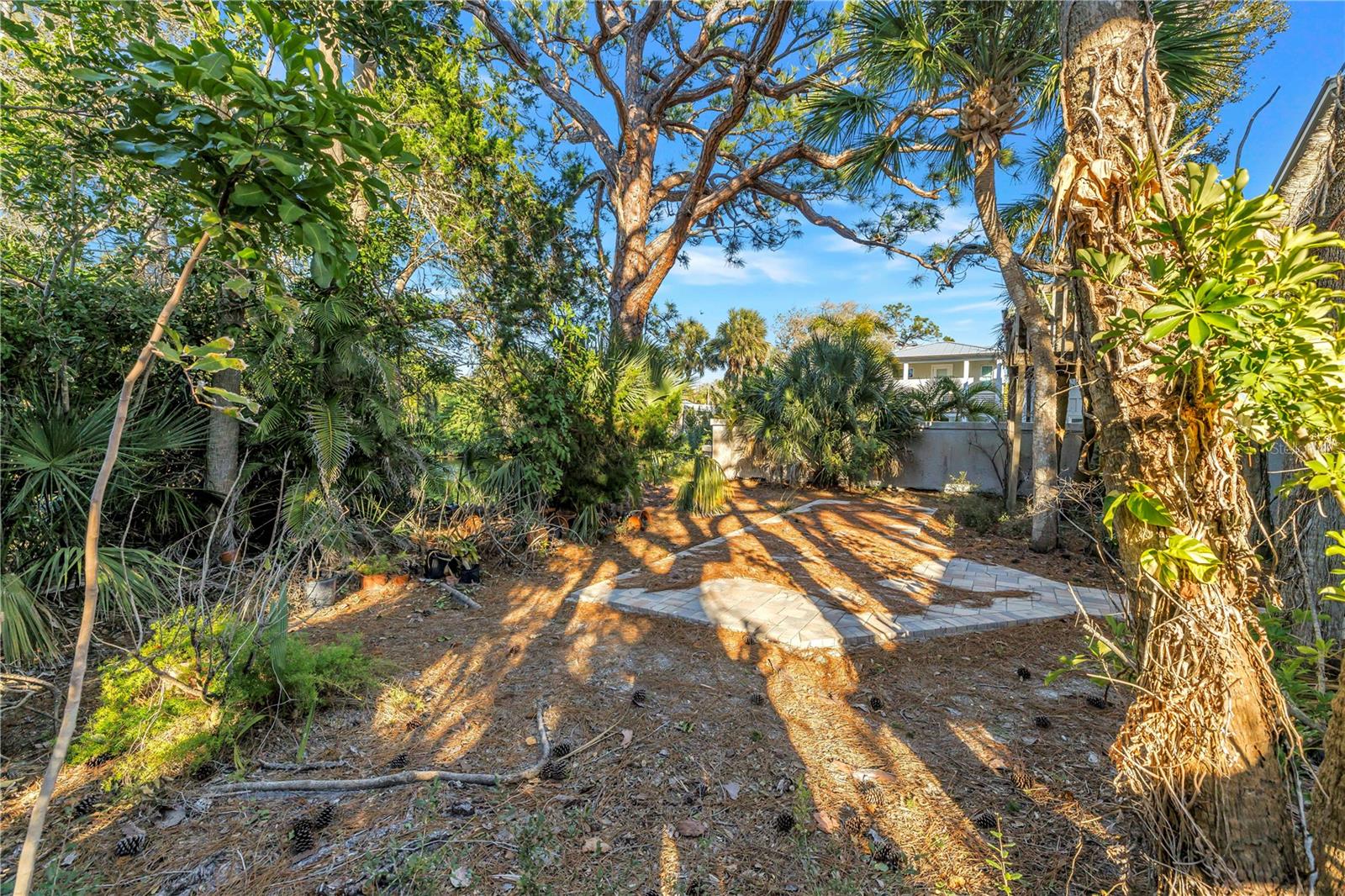 OCEAN BEACH REP - Residential