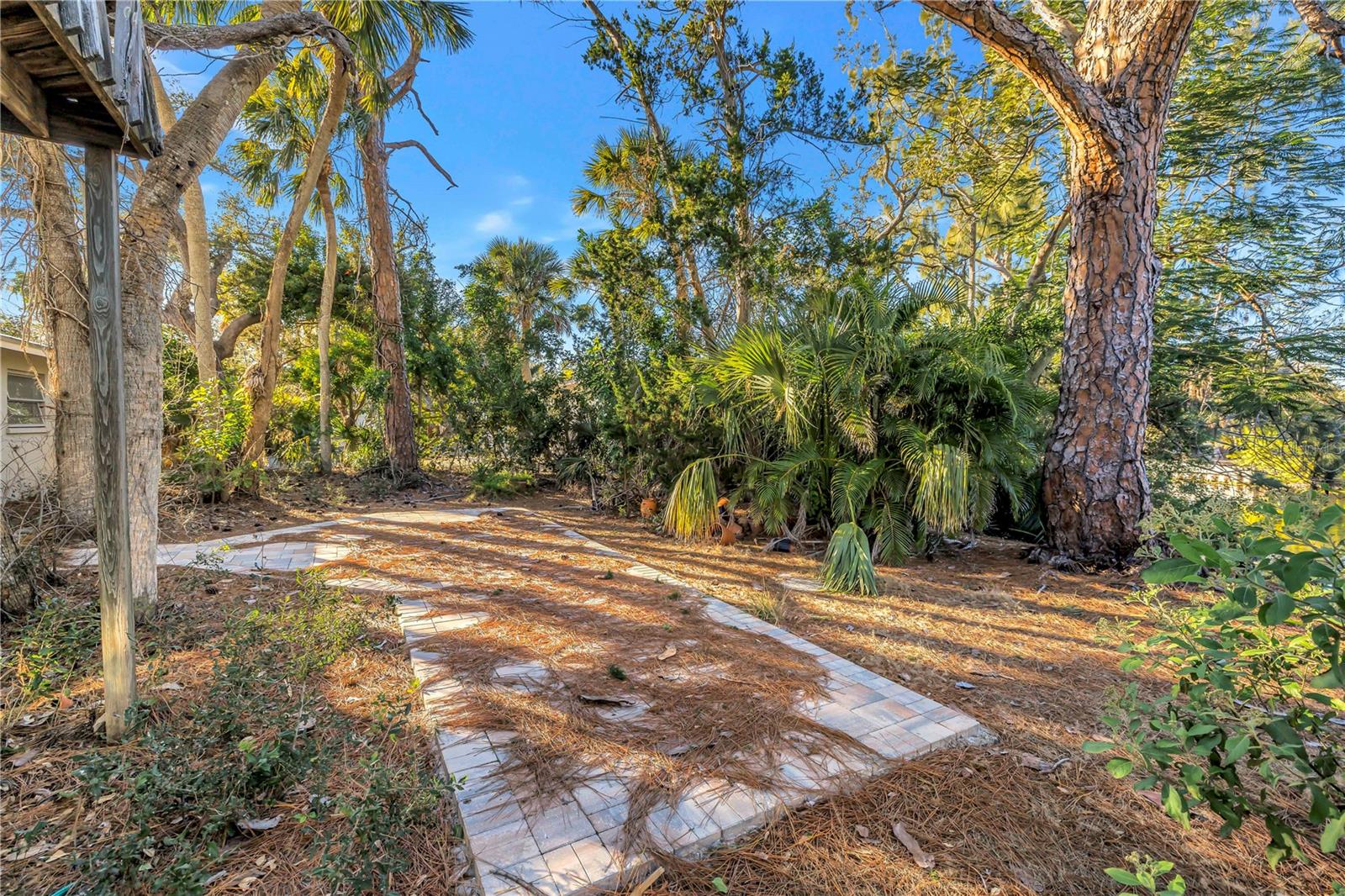 OCEAN BEACH REP - Residential