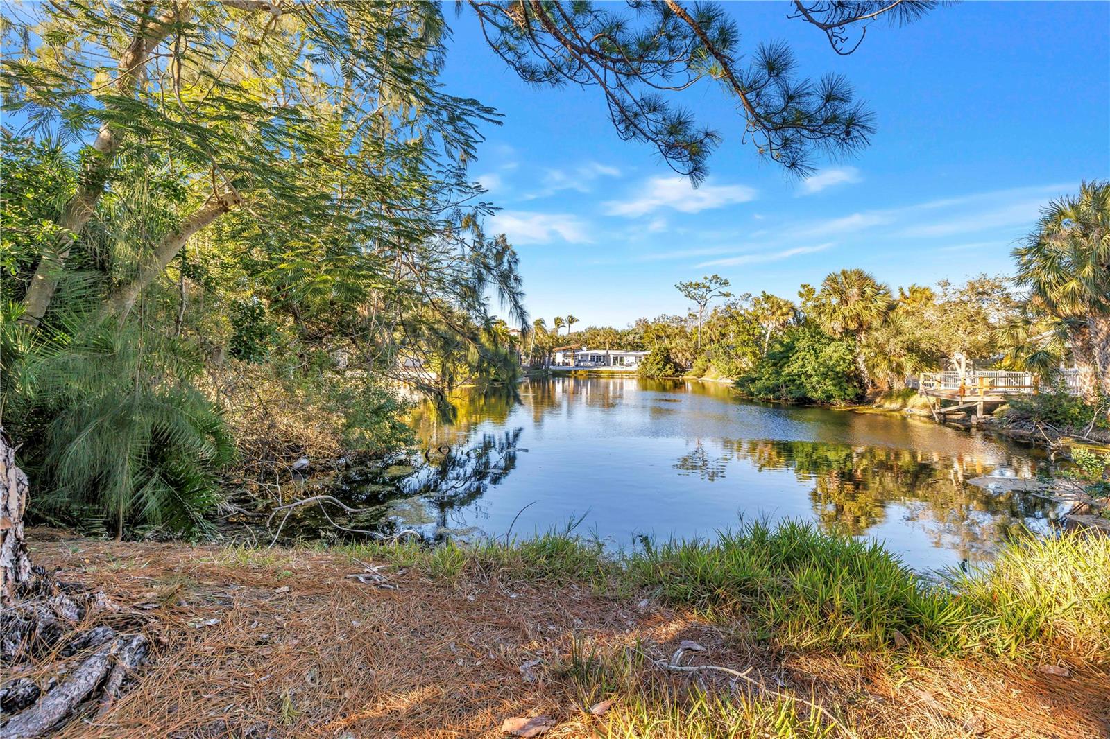 OCEAN BEACH REP - Residential