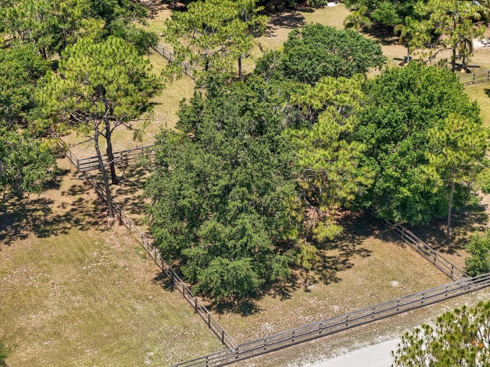 WILLOW SHORES - Residential