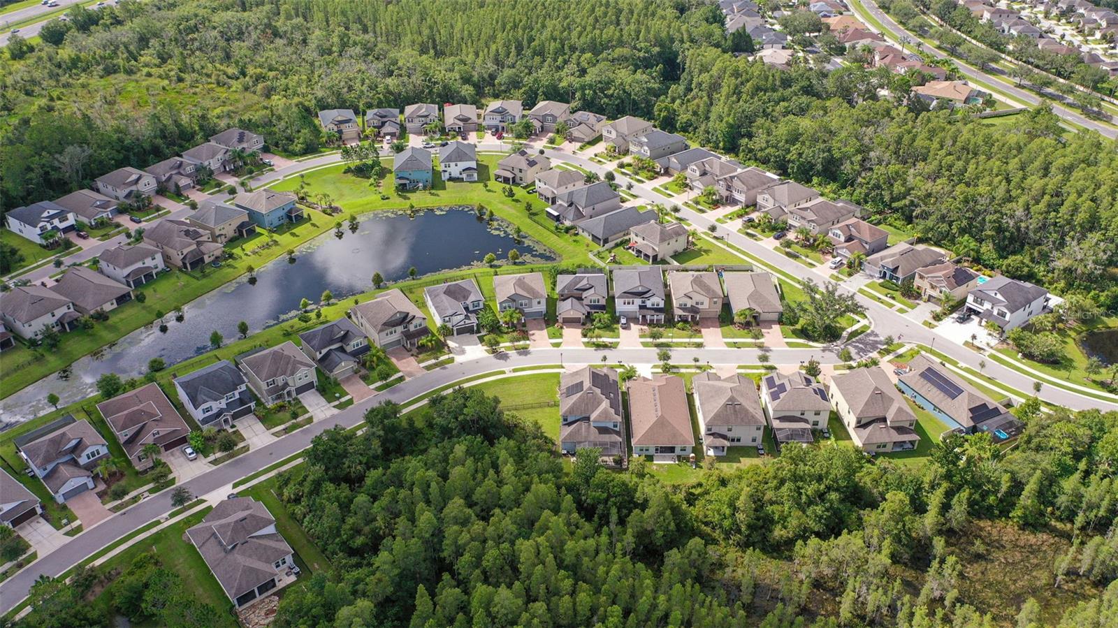 TAMPA PALMS AREA 3 PRCL 38 - Residential