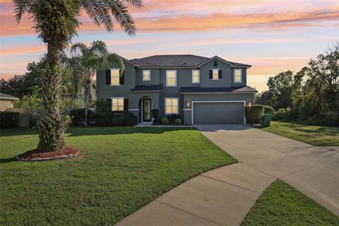 A home in DELAND