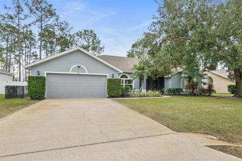 A home in PALM COAST