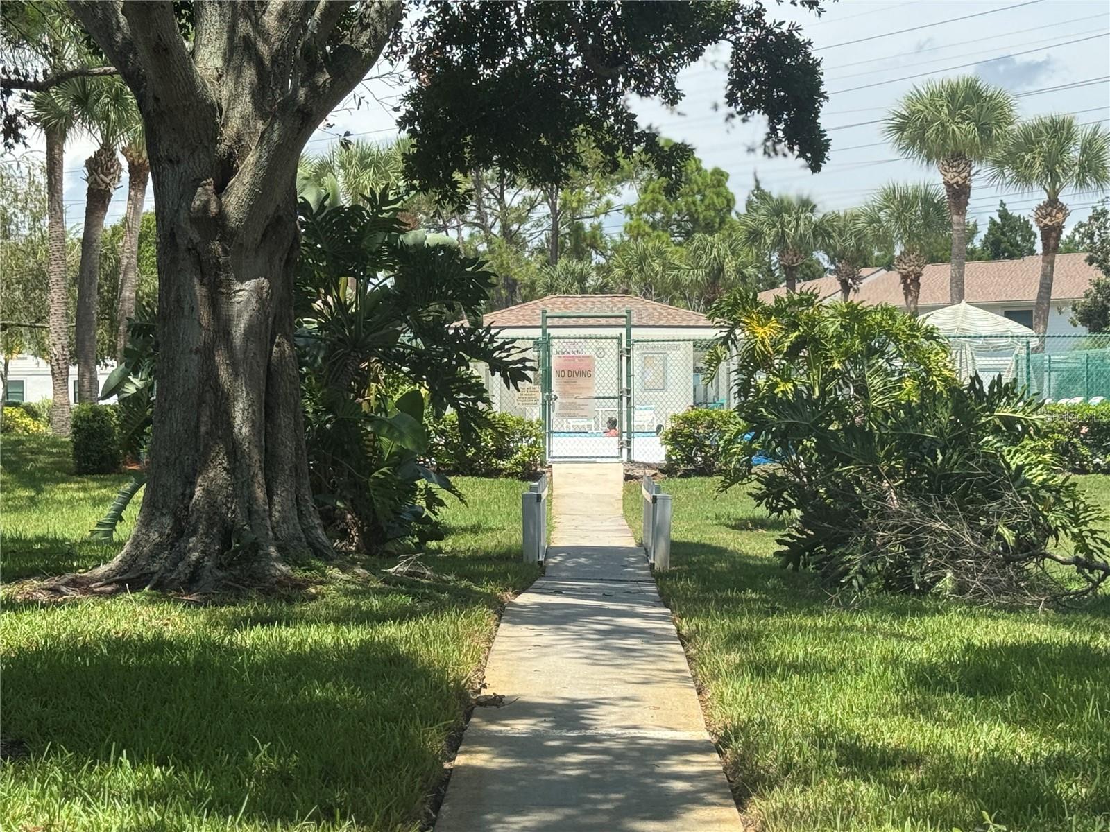 MEADOWS CONDO AT EAST LAKE WOODLANDS - Residential