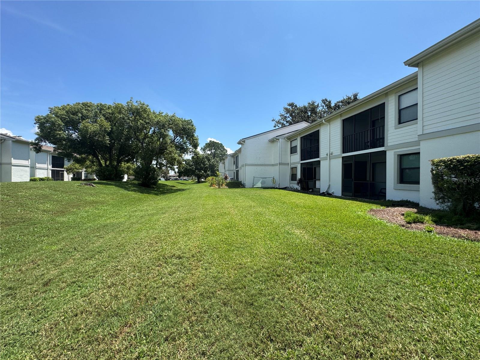 MEADOWS CONDO AT EAST LAKE WOODLANDS - Residential