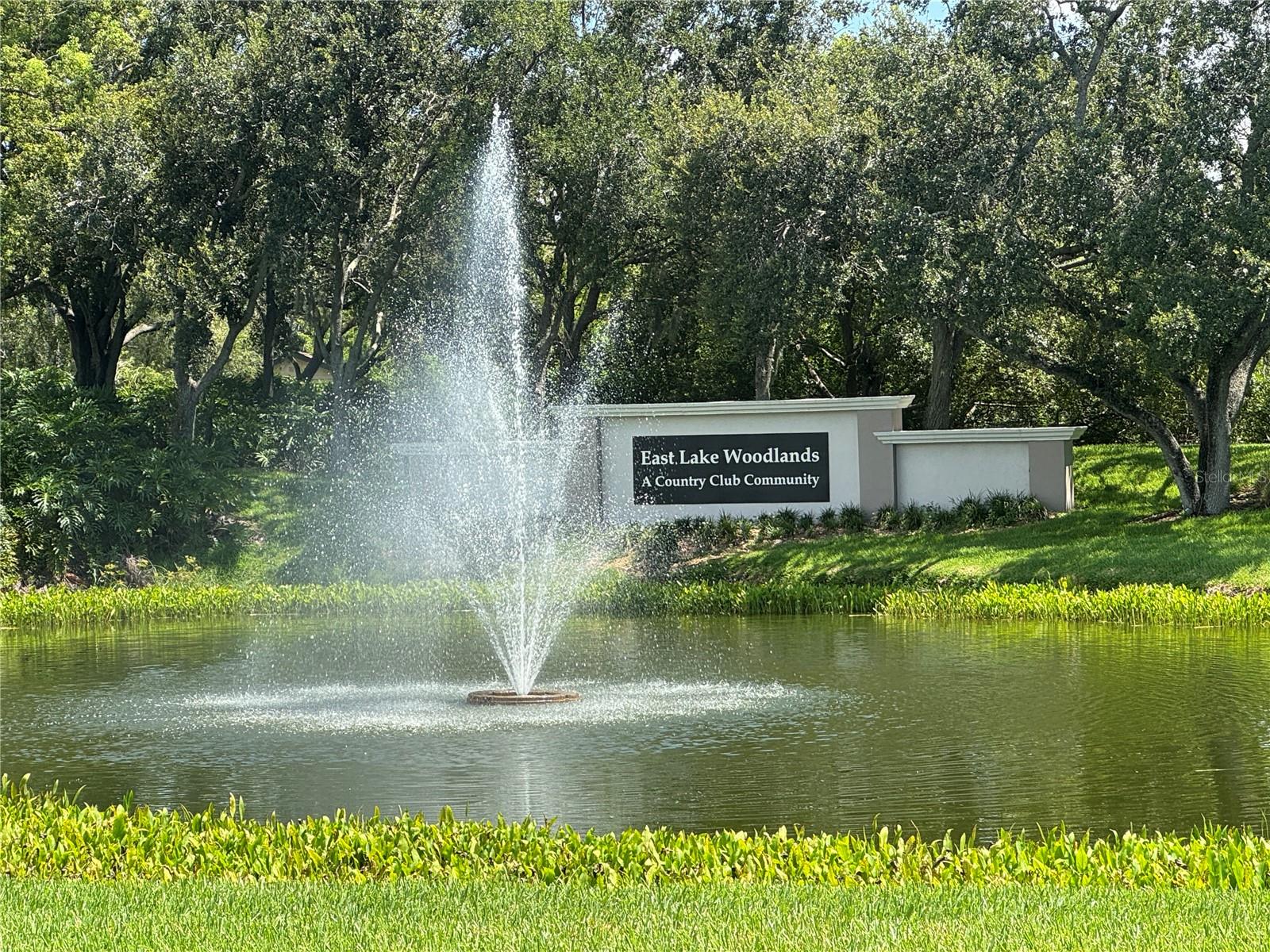 MEADOWS CONDO AT EAST LAKE WOODLANDS - Residential