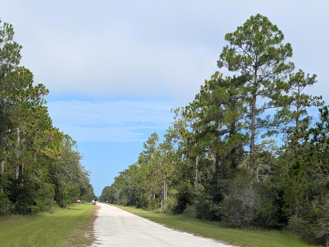 INDIAN LAKE ESTATES - Land