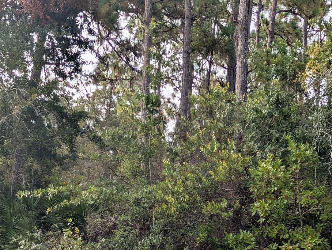 INDIAN LAKE ESTATES - Land