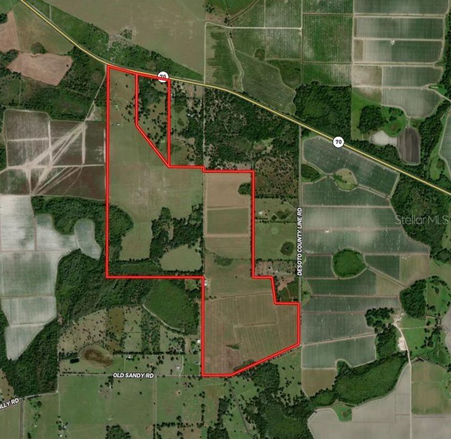 Discover a rare agricultural opportunity in the heart of Myakka City 250 pristine acres ready to realize your farming vision. This expansive property boasts an impressive 1,700 feet of frontage on HWY 70 and an additional 1,050 feet on Old Sandy Road, ensuring excellent access and visibility for a range of agricultural pursuits.

Property Highlights
Total Acreage: 500 acres of prime, fertile land, will split into two 250 acre parcels
Frontage: 1,700 feet on HWY 70 and 1,050 feet on Old Sandy Road
Subdivision Option: Property can be subdivided into two 250-acre parcelsideal for buyers seeking a more manageable investment or wanting to partner with others
Ideal Uses: potentially suited for a sod farm, vegetable farming, or other agricultural operations
Accessibility: Dual frontage provides flexible access and strategic positioning for logistics and operations

Please contact for additional details. Information provided herein is from sources deemed reliable but not guaranteed and is provided without the intention that any buyer rely upon it. Listing Broker takes no responsibility for its accuracy and all information must be independently verified by buyers.