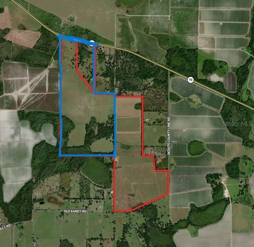 Discover a rare agricultural opportunity in the heart of Myakka City about 250 pristine acres ready to realize your farming vision. This expansive property boasts an impressive 1,700 feet of frontage on HWY 70 and an additional 1,050 feet on Old Sandy Road, ensuring excellent access and visibility for a range of agricultural pursuits.

Property Highlights
Prime, fertile land for all agricultural pursuits. 
Frontage: 1,700 feet on HWY 70 and 1,050 feet on Old Sandy Road
Subdivision Option: Property can be subdivided into parcels ideal for buyers seeking a more manageable investment or wanting to partner with others
Ideal Uses: potentially suited for a sod farm, vegetable farming, or other agricultural operations
Accessibility: Dual frontage provides flexible access and strategic positioning for logistics and operations

Please contact for additional details. Information provided herein is from sources deemed reliable but not guaranteed and is provided without the intention that any buyer rely upon it. Listing Broker takes no responsibility for its accuracy and all information must be independently verified by buyers.