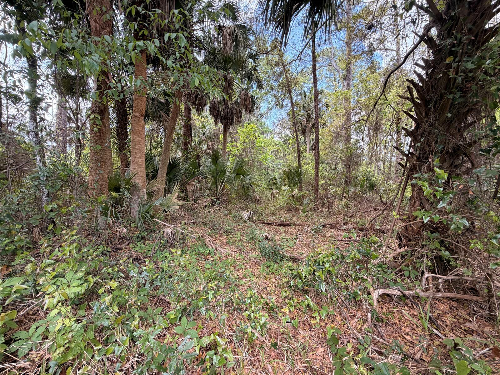 MANHATTAN SEC 07 - Land