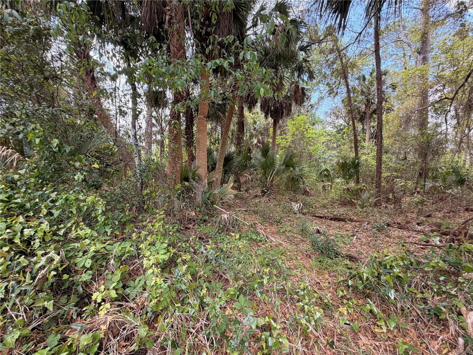 MANHATTAN SEC 07 - Land