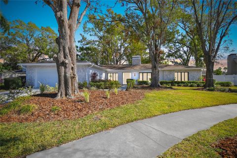 A home in TAMPA