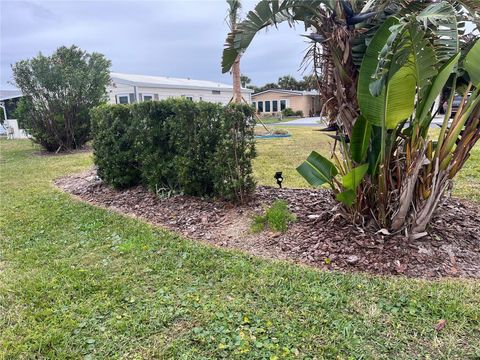 A home in FLAGLER BEACH