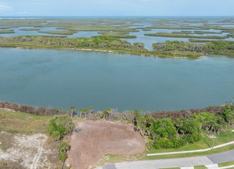 Photo of 183 Jones Fish Camp Road, Edgewater, FL 32141 (MLS # NS1088416)