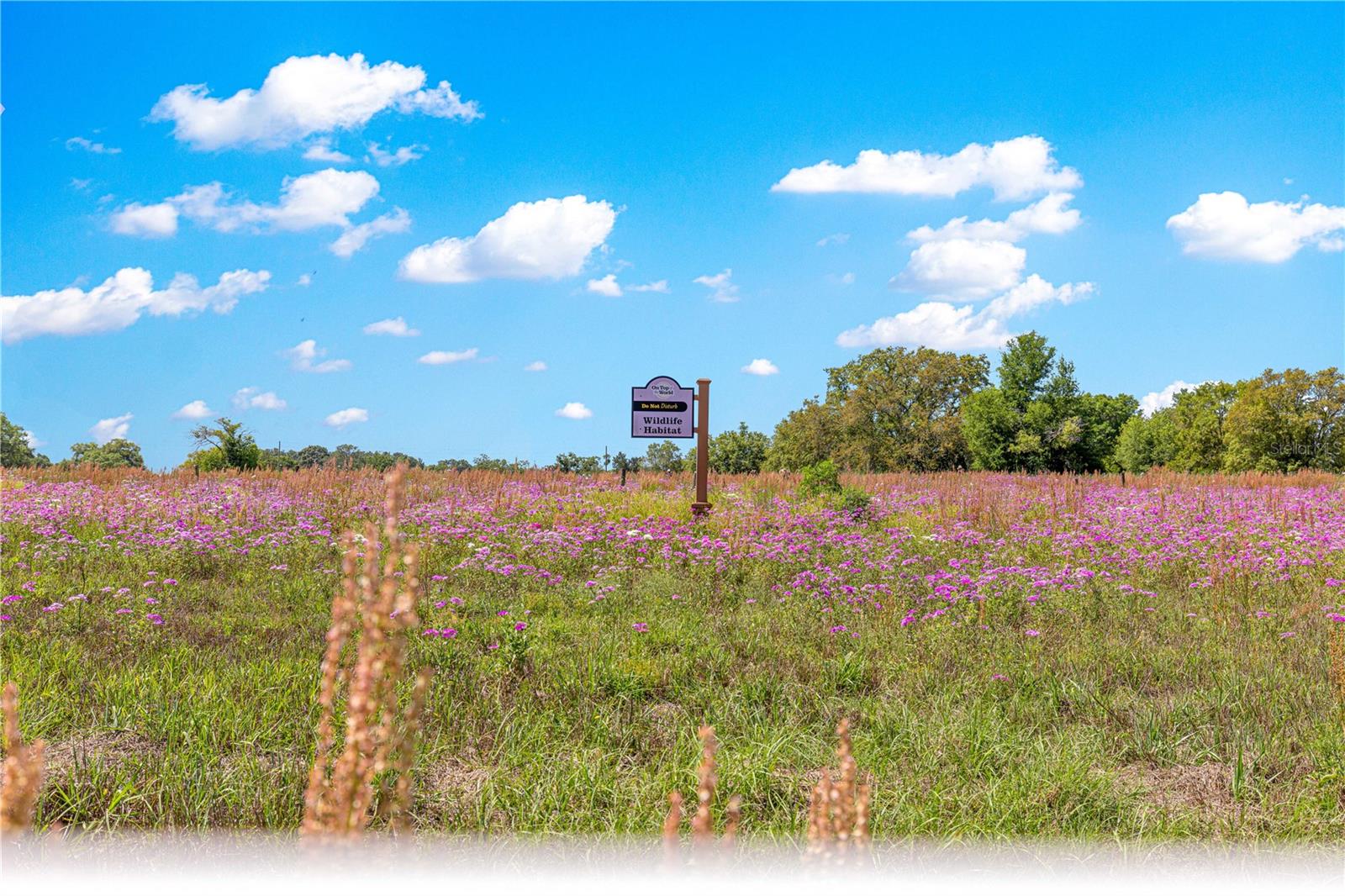 ON TOP OF THE WORLD - Residential