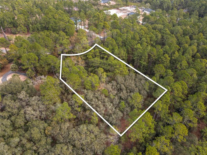 Build your dream home in the Sunshine State on this beautiful 1.14-acre homesite located in the desirable Royal Trails community in northeast Lake County. With over an acre of land, you’ll enjoy privacy, space, and the freedom to create the Florida lifestyle you’ve been envisioning. 

Royal Trails is a deed-restricted community that maintains quality and long-term value while still offering flexibility. According to the Architectural Committee guidelines, only site-built, conventional single-family residences are permitted, with a minimum of 1,200 square feet of ground floor living area. Manufactured, modular, and mobile homes are not allowed. Zoning allows up to two horses per acre, making this an ideal setting for equestrian enthusiasts or anyone who appreciates a little extra elbow room. The HOA is just $65 per year, helping maintain the character and shared amenities of the neighborhood.

Residents enjoy access to Lake Norris, a beautiful 1,200-acre lake perfect for fishing and kayaking, as well as Lake Marion within the community. Royal Trails also features miles of paved roads ideal for walking, biking, or jogging, along with a community park, playground, and enclosed pavilion with picnic tables where neighbors gather for events and activities throughout the year. The Florida National Scenic Trail runs through the area, offering even more opportunities to explore Florida’s natural beauty.

Located in northeast Lake County, Royal Trails offers peaceful country living while remaining convenient to Eustis, Mount Dora, and the greater Orlando area for shopping, dining, and entertainment. You’re close enough for easy access to major roadways and attractions, yet far enough to truly enjoy wide-open skies and a quieter pace of life.

Don’t miss the opportunity to drive by and experience the setting for yourself. This 1.14-acre parcel could be the perfect place to build your next Florida home.
