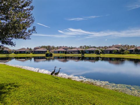 A home in WESLEY CHAPEL