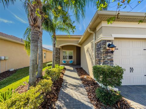 A home in WESLEY CHAPEL