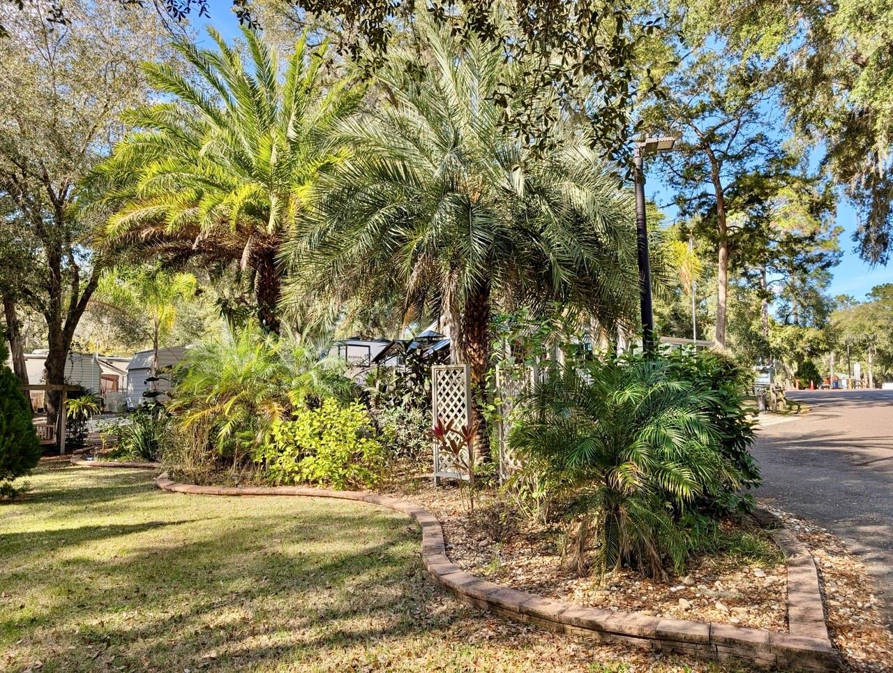 SALT SPRINGS RESORT CONDOMINIUM - Land