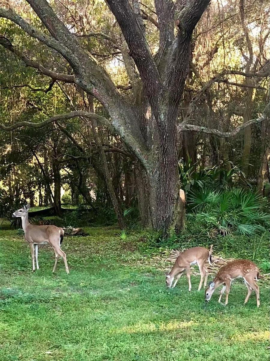 QUAIL RIDGE - Residential