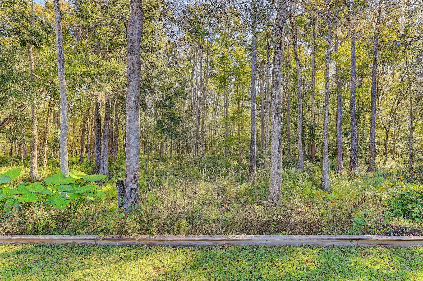 QUAIL RIDGE - Residential