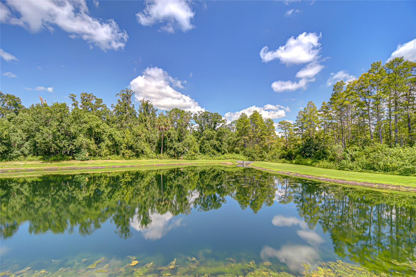 PRISTINE LAKE PRESERVE - Residential
