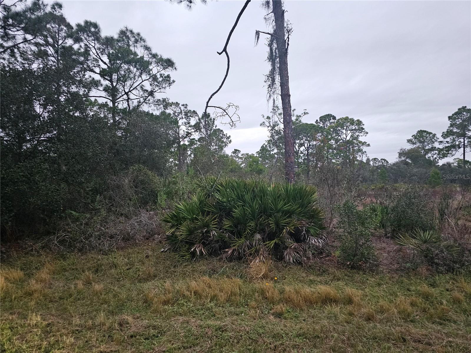 LEISURE LAKES SEC 07 - Land