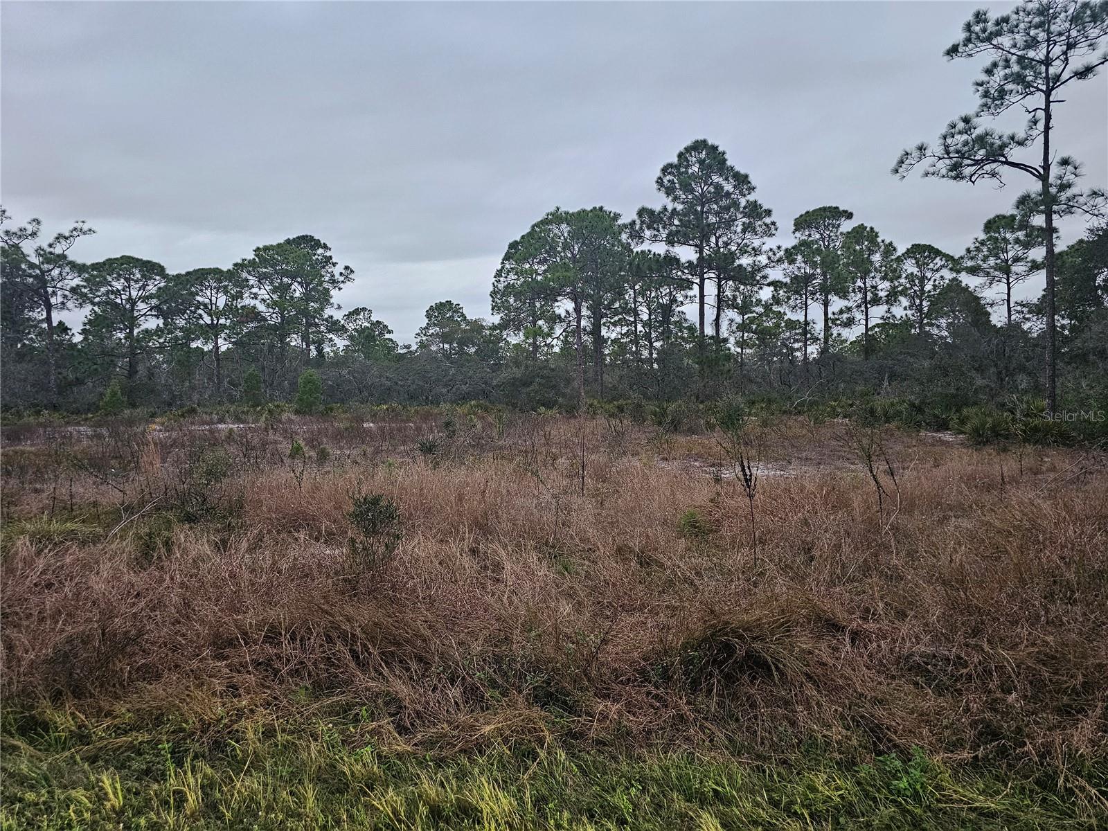 LEISURE LAKES SEC 07 - Land