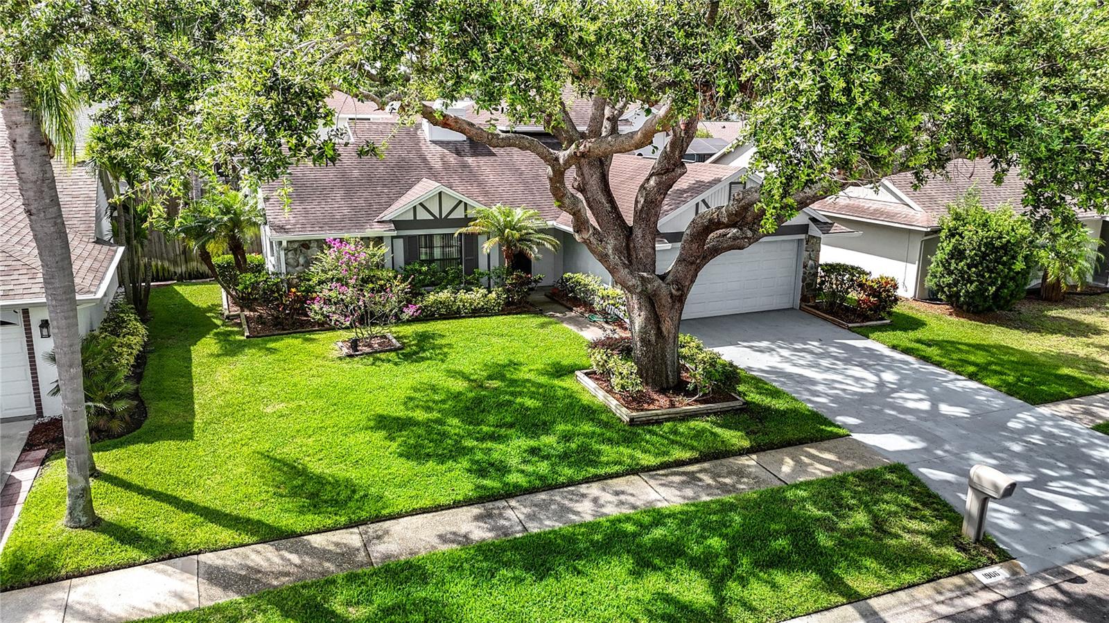 1906 WHITE CEDAR WAY