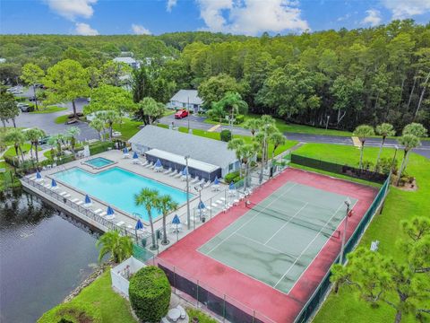 A home in TARPON SPRINGS