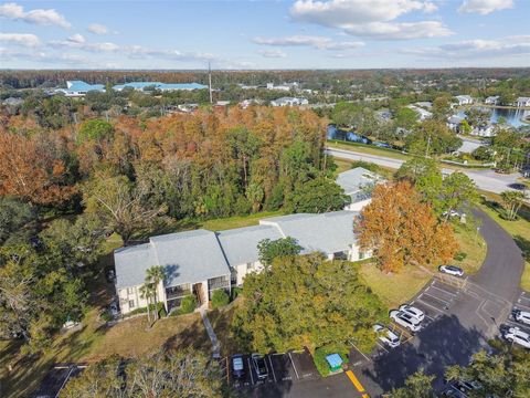 A home in TARPON SPRINGS