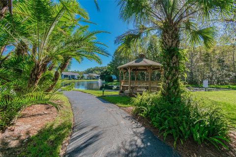 A home in TARPON SPRINGS