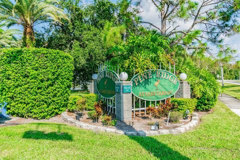 A home in TARPON SPRINGS