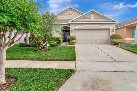 Photo of 1245 Water Willow Drive, Groveland, FL 34736 (MLS # G5102945)